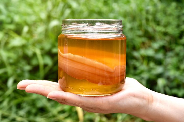 The Weird Effects of Drinking Kombucha - Kombucha Tea Health Benefits