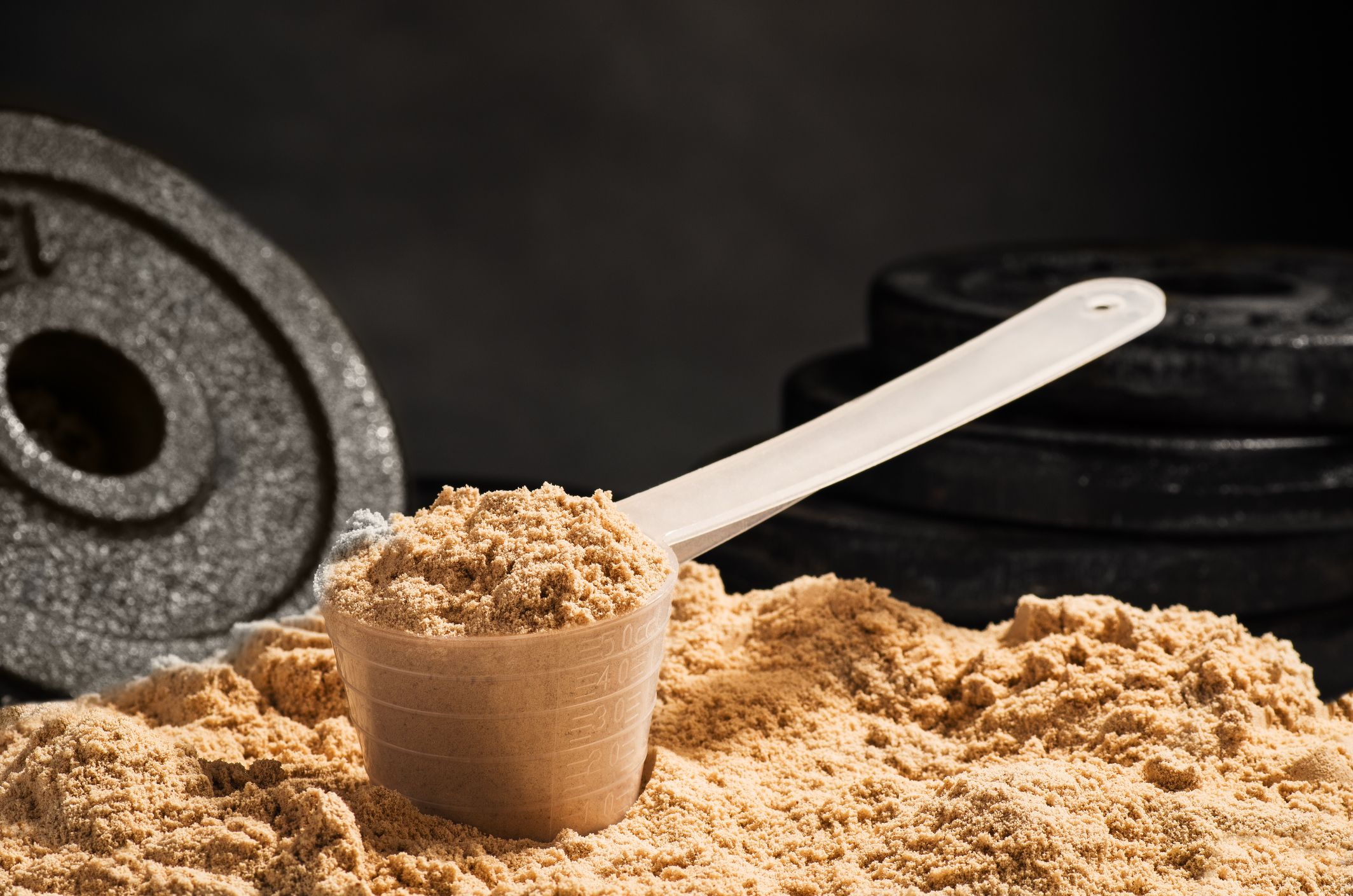 how-many-scoops-of-protein-powder-can-you-take-per-day