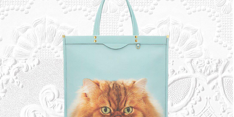 Cat, Handbag, Bag, Small to medium-sized cats, Felidae, Persian, Tote bag, Fashion accessory, Whiskers, Fawn, 