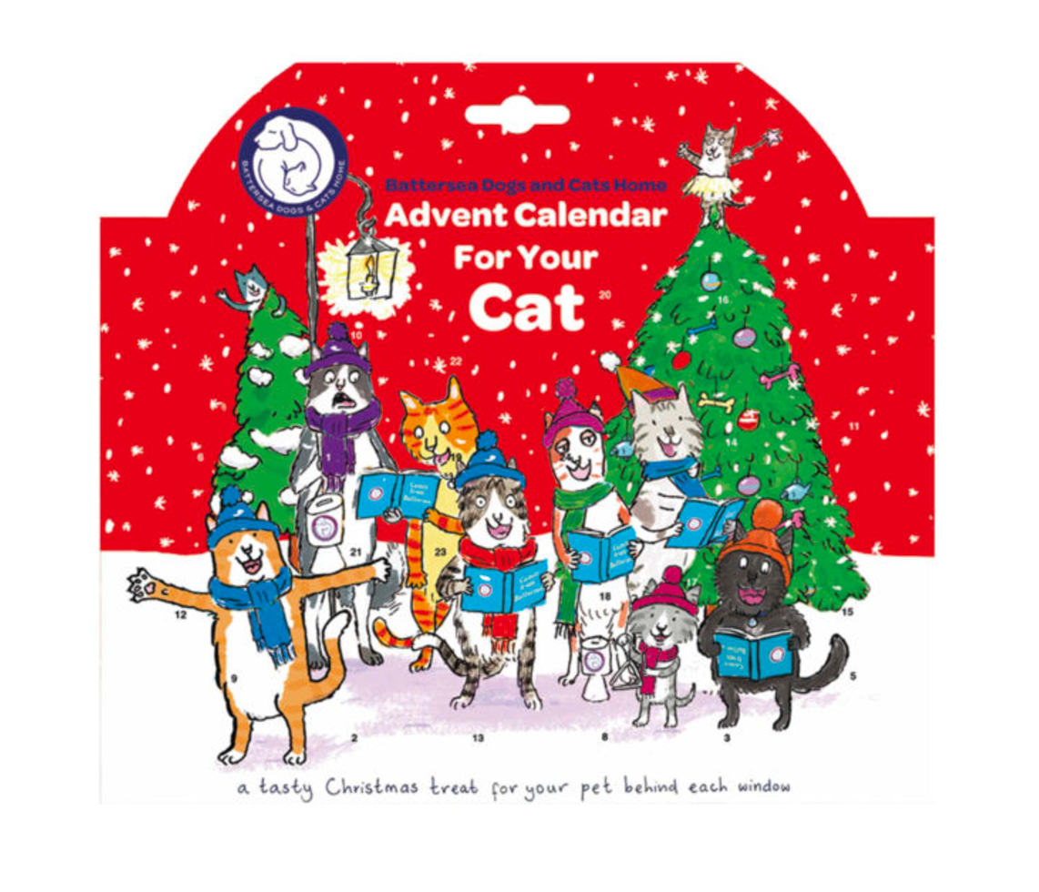 10 Best Cat Advent Calendars - Christmas Advent Calendars for Cat Lovers