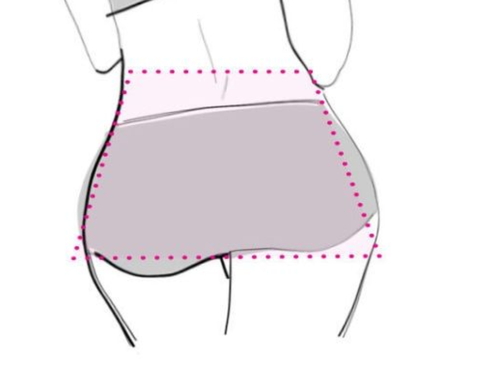 Types of girl butts