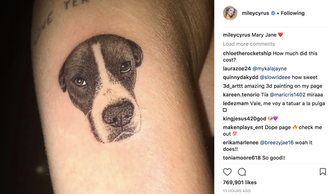 3d Porn Sex With Dog - Celebrity Tattoo Meanings - Celebrity Tats
