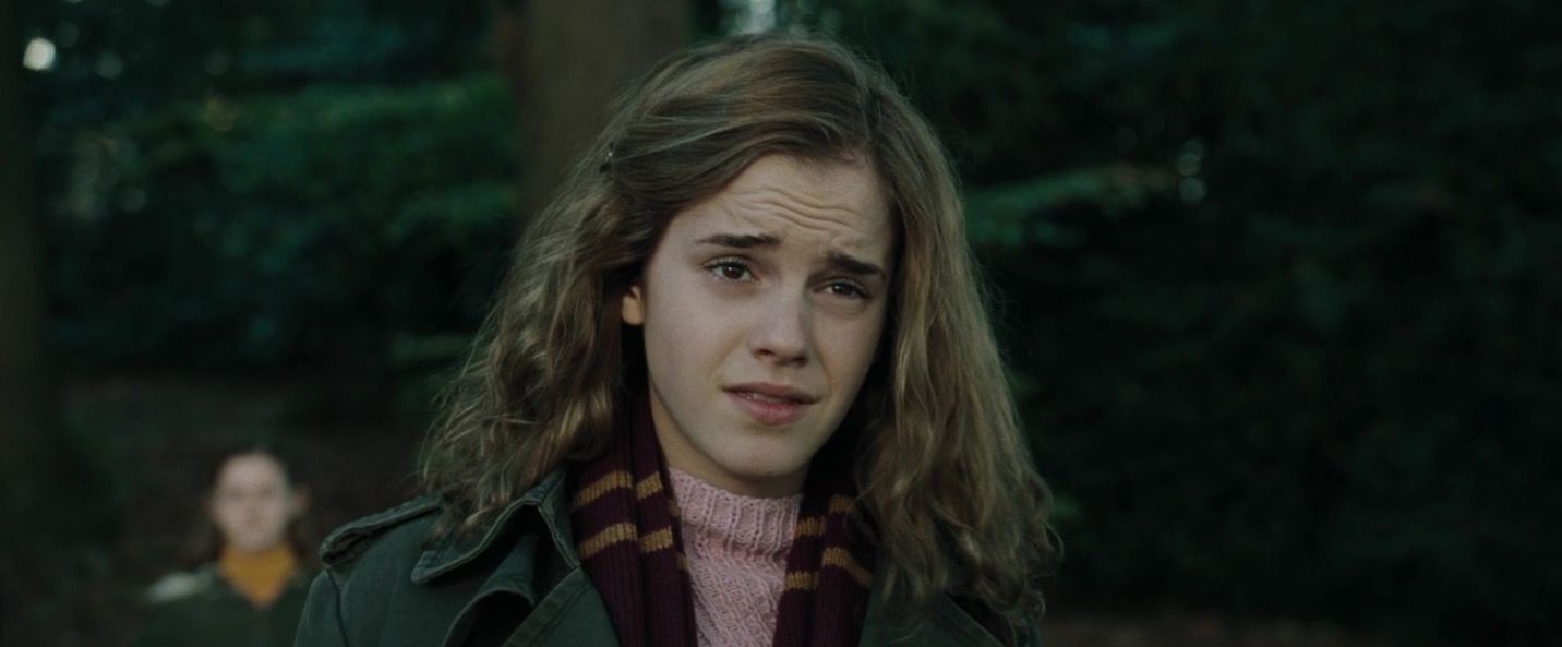 hermione granger goblet of fire hair