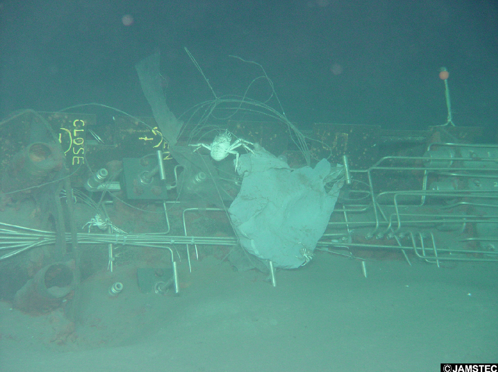 Plastic Bag Found at the Bottom of the Mariana Trench