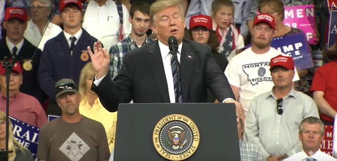 Guy in Plaid Shirt Makes Amazing Faces Behind Trump at Billings ...