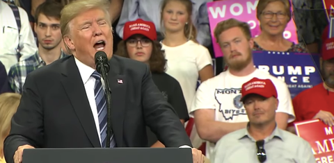 Guy in Plaid Shirt Makes Amazing Faces Behind Trump at Billings ...