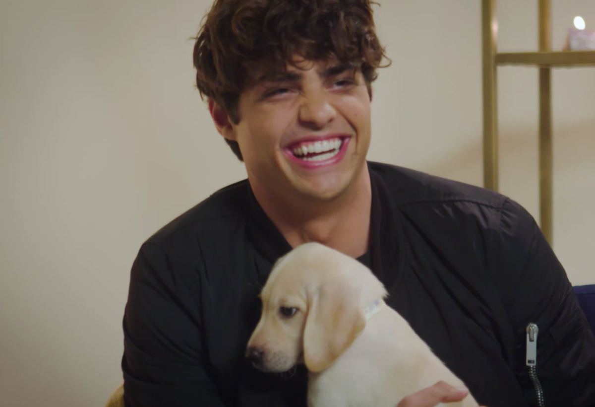 Noah Centineo Is... The Perfect Boyfriend