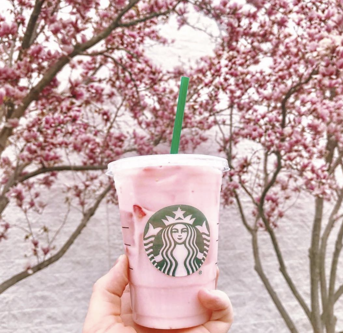 good drinks to try from starbucks