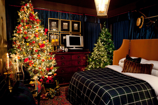 Room, Christmas decoration, Christmas tree, Christmas, Home, Property, Interior design, Tree, Lighting, Decoration, 