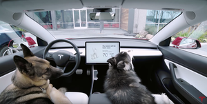 Tesla Dog Mode