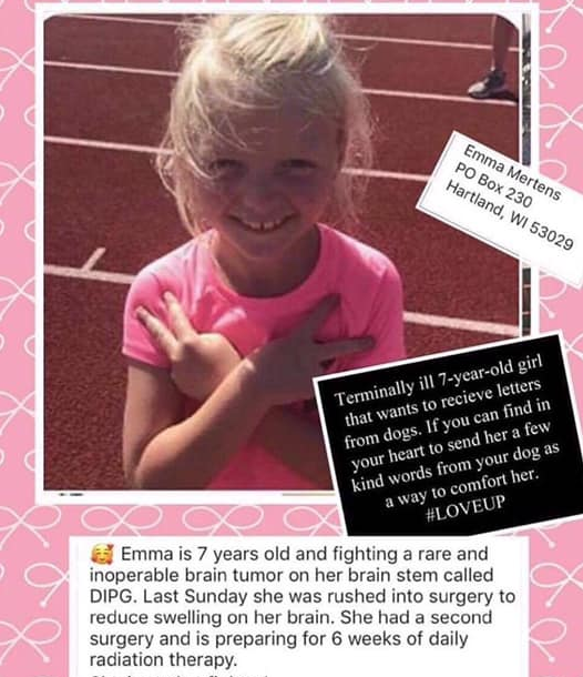 Terminally Ill Girl In Wisconsin Requests Letters From Dogs Emma