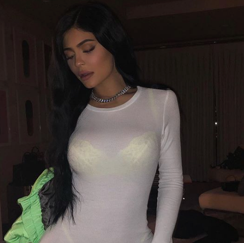 Kylie Jenner And Travis Scott Flirt On Instagram Travis Scott Leaves
