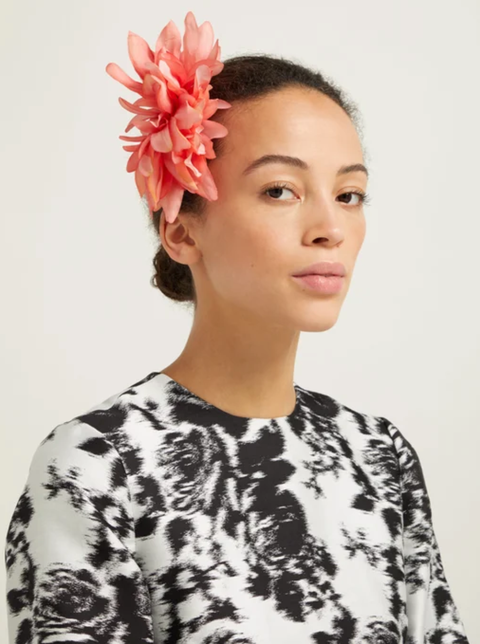 Hair, Hairstyle, Beauty, Fashion, Hair accessory, Headpiece, Headgear, Fashion accessory, Plant, Bun, Hair, Hairstyle, Beauty, Fashion, Hair accessory, Headpiece, Headgear, Fashion accessory, Plant, Bun,