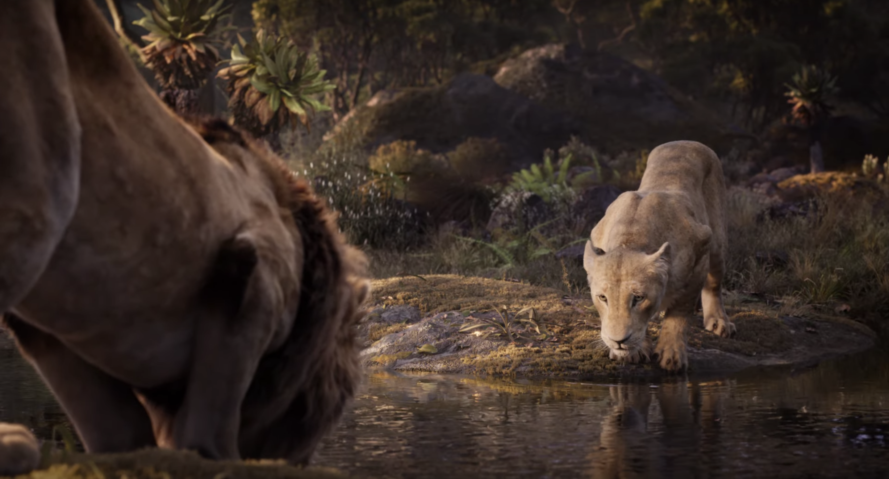 Vooruitzicht Glad een andere Watch 'The Lion King' Remake Trailer Featuring Beyoncé