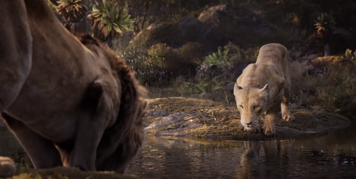 Watch 'The Lion King' Remake Trailer Featuring Beyoncé - Le Roi Lion Live Action Disney +