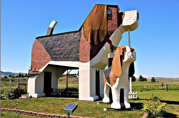 The Dog Bark Park Inn Is Actually An Airbnb In Cottonwood, Idaho