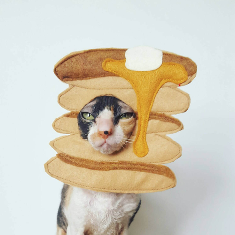 Is Selling the Cutest Felt Pancake Costume for Cat