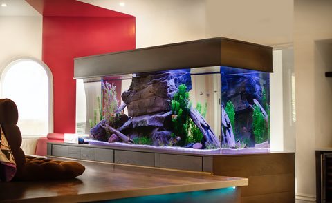 Infinity Aquarium Design Creates A 100 000 Fish Tank