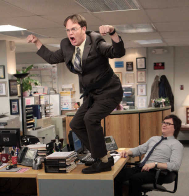 dwight costumes the office