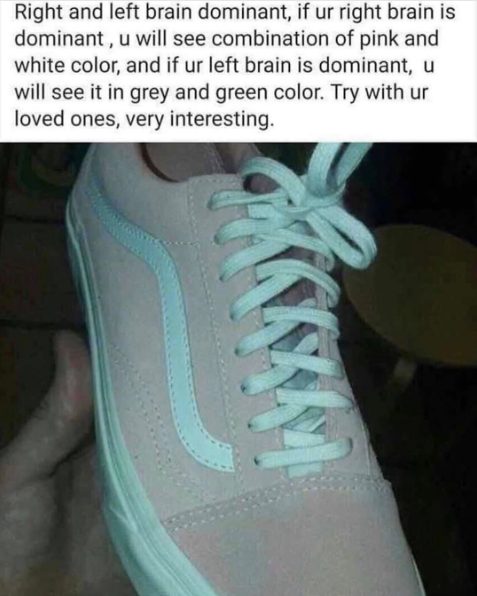 what color is the shoe