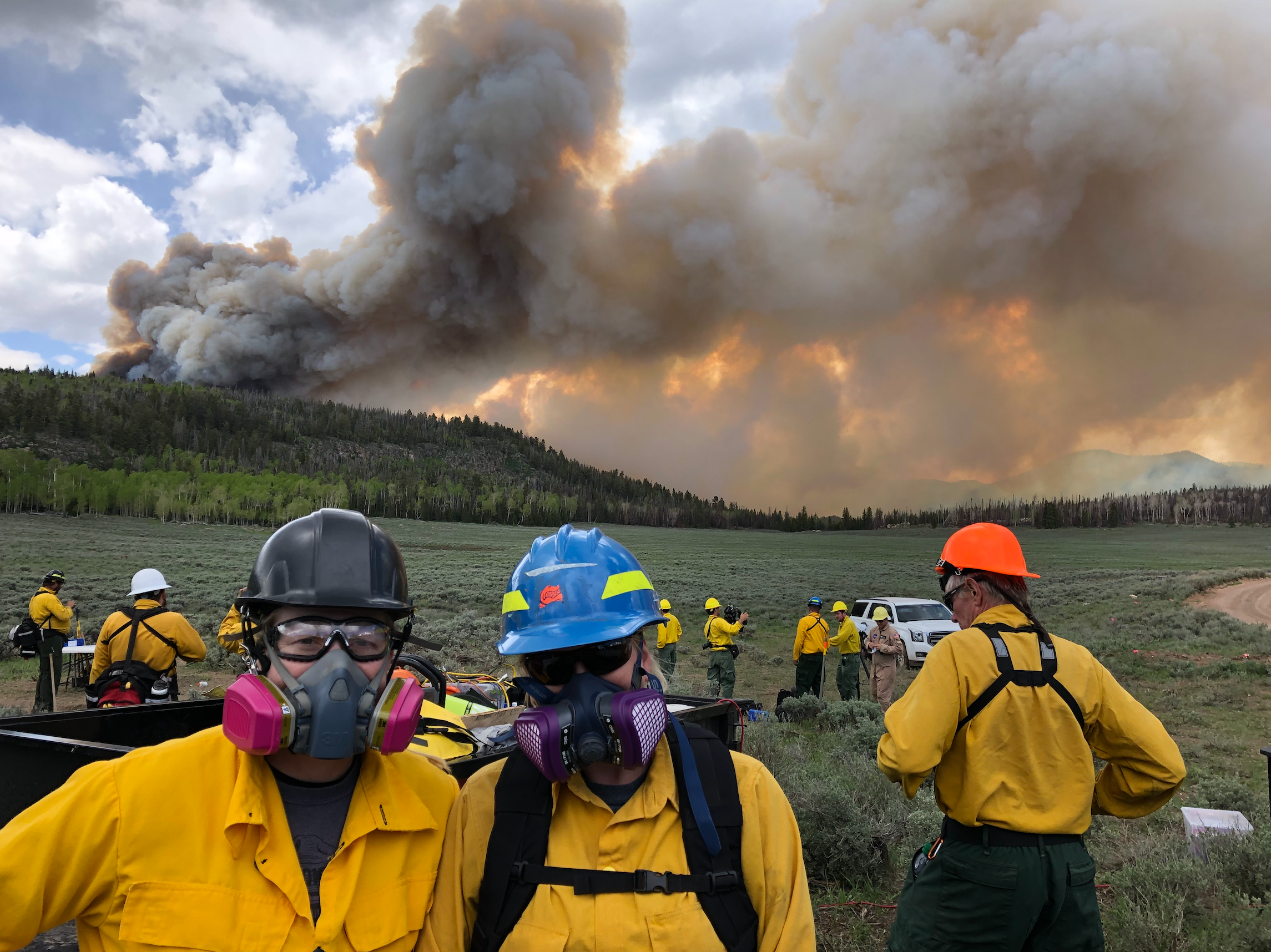 Wildfire Smoke Can Spread Harmful Microbes. Here's How Scientists Monitor Them