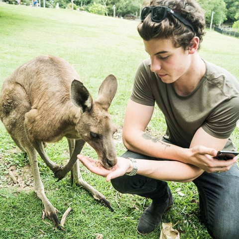 Shawn-Mendes-Vacation-kangaroo
