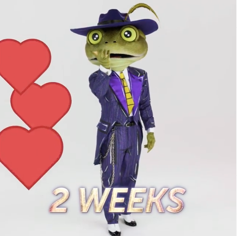 Download Masked Singer Season 3 Winner Frog Background