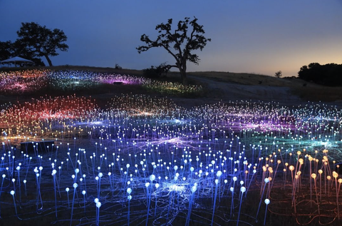 colorful lights in a field in california