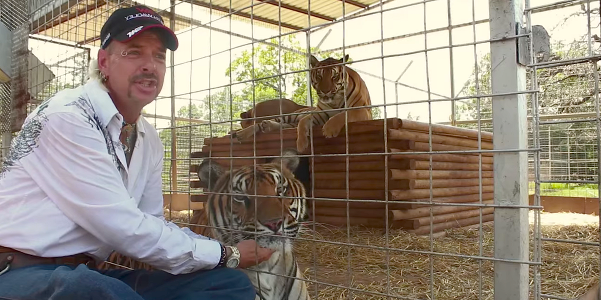How the <em>Tiger King</em> Filmmakers Infiltrated the Seedy Underbelly of America's Sketchiest Zoos