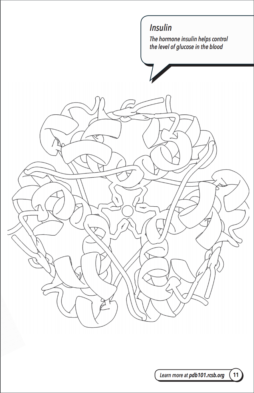 blood cells coloring pages