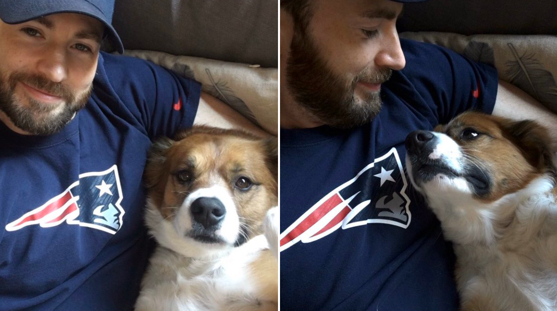 Chris Evans & His Dog Dodger Are Adorably Quarantining Together