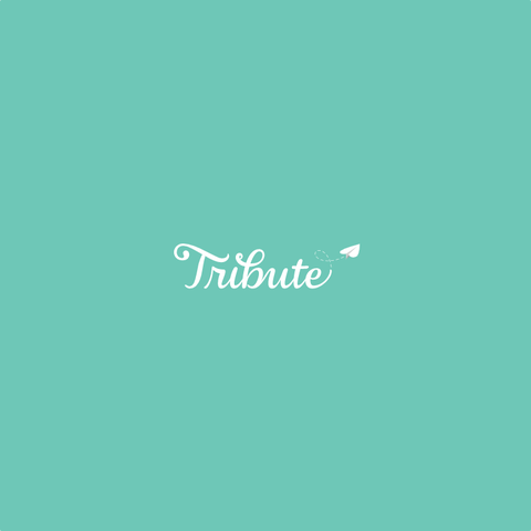 tribute video service