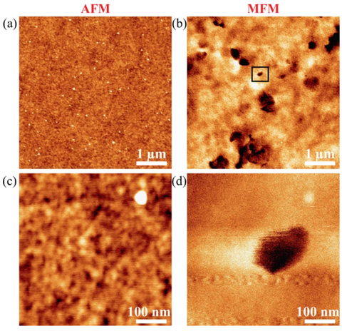 skyrmion like magnetic textures under high magnification