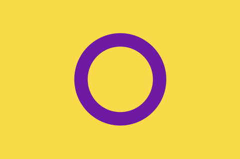 intersex pride flag