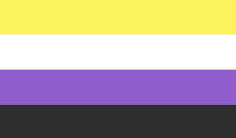 non binary pride flag
