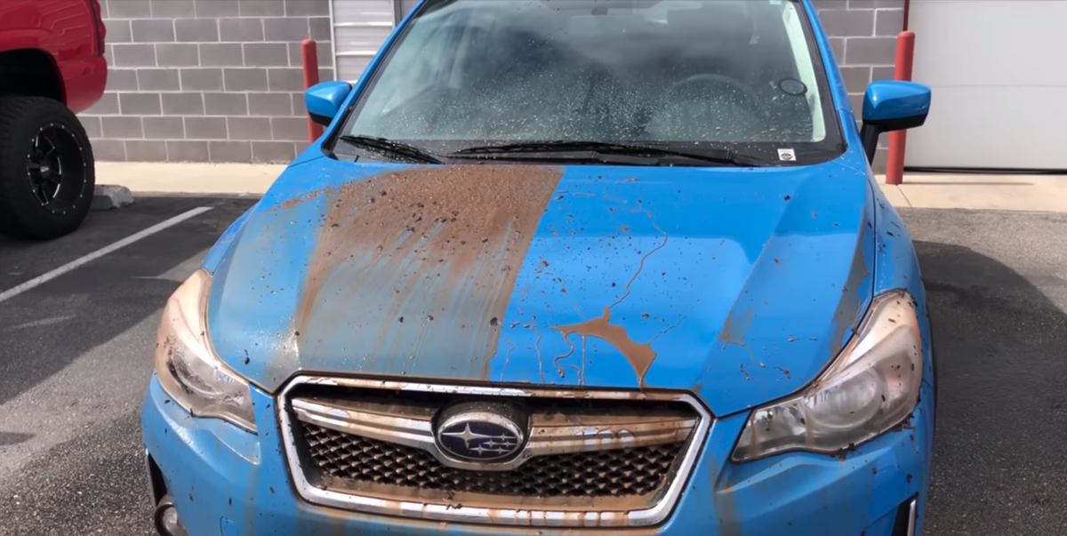 Has Your Ceramic Coating Failed? You Might Be Able To Save It: