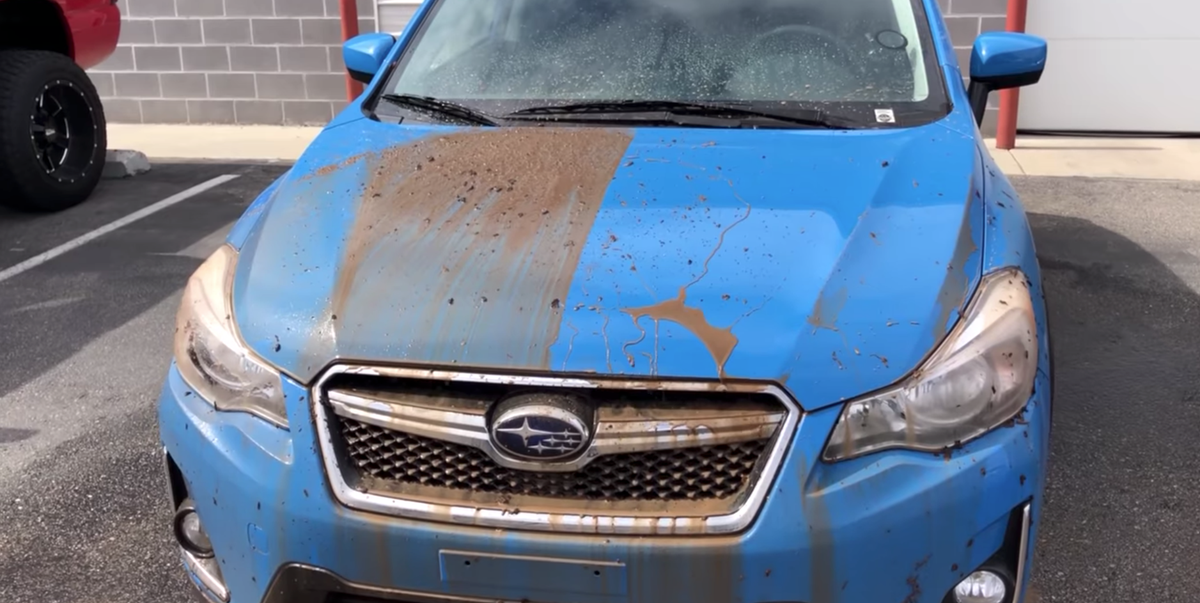 Has Your Ceramic Coating Failed? You Might Be Able To Save It: