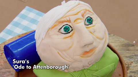 Every bust from the GBBO celebrity cake bust showstopper challenge