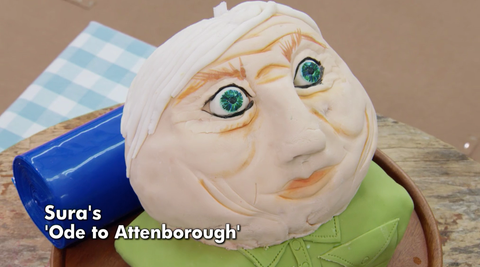 Every bust from the GBBO celebrity cake bust showstopper challenge