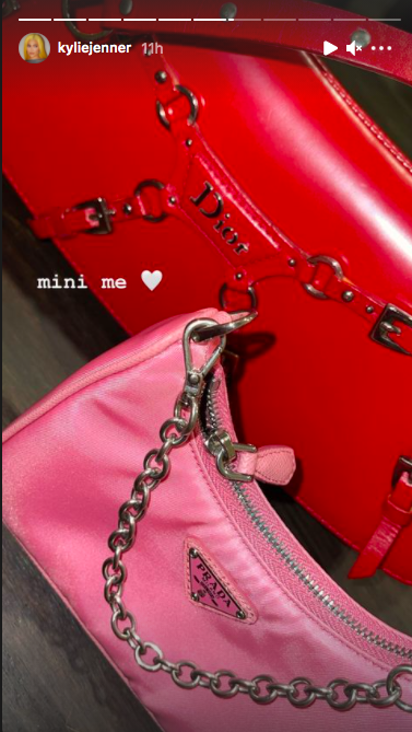 stormi webster purse