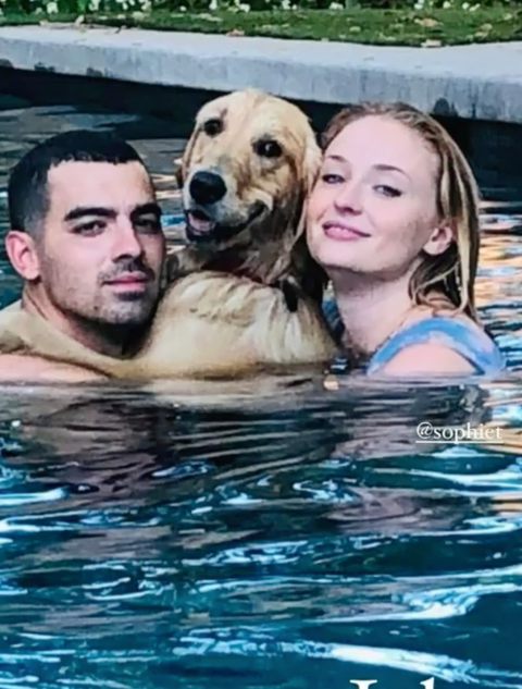 Sophie Turner And Joe Jonas Share Unseen Pics From 2020 On Instagram 5184