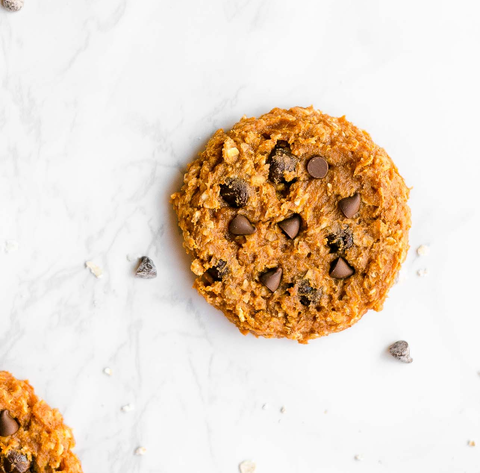 healthy flourless pumpkin chocolate chip oatmeal protein cookies