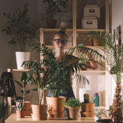 Plants.com plants