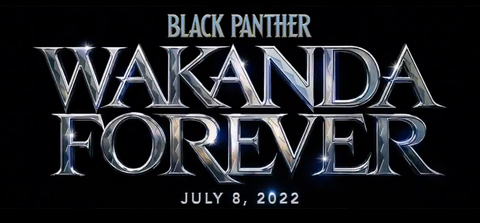 black panther wakanda forever black panther wakanda forever
