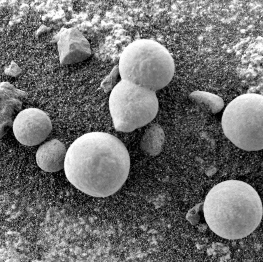 Scientists Believe These Photos Show Mushrooms on Mars—and Proof of Life