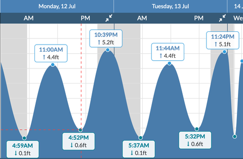 the tide co﻿nditio﻿ns for ﻿﻿new york city