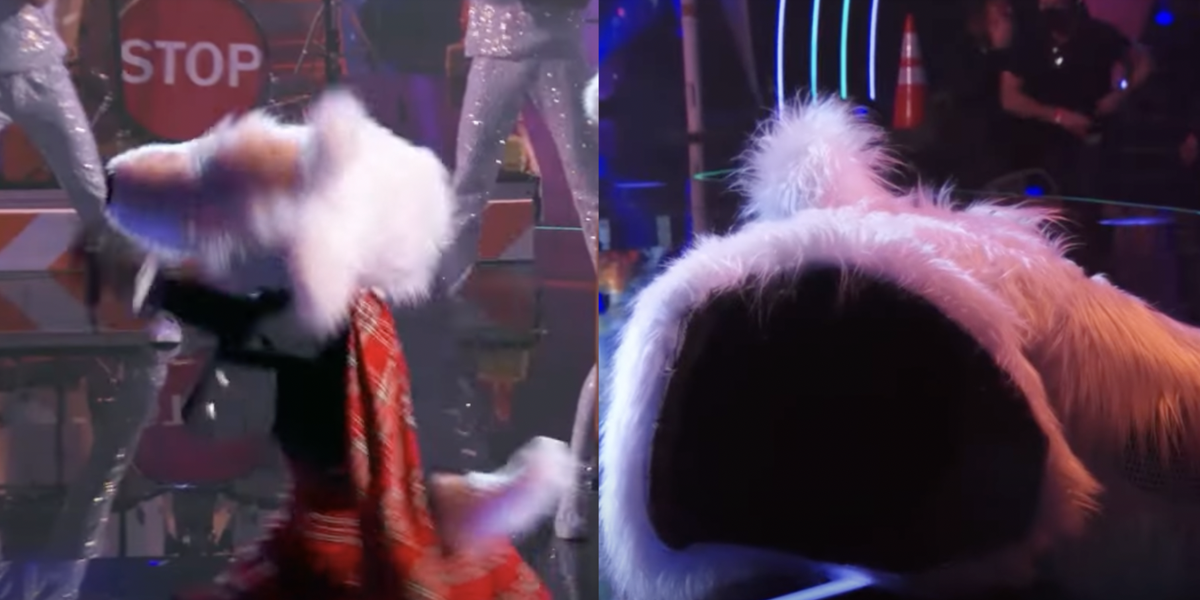 Mcterriers Mask Fully Fell Off During The Masked Singer Premiere