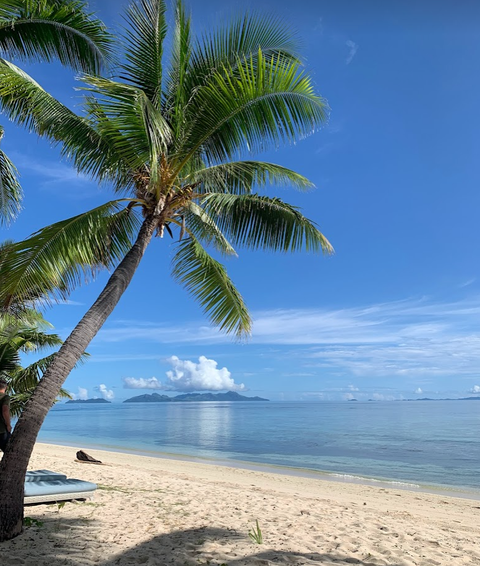 vomo island, fiji