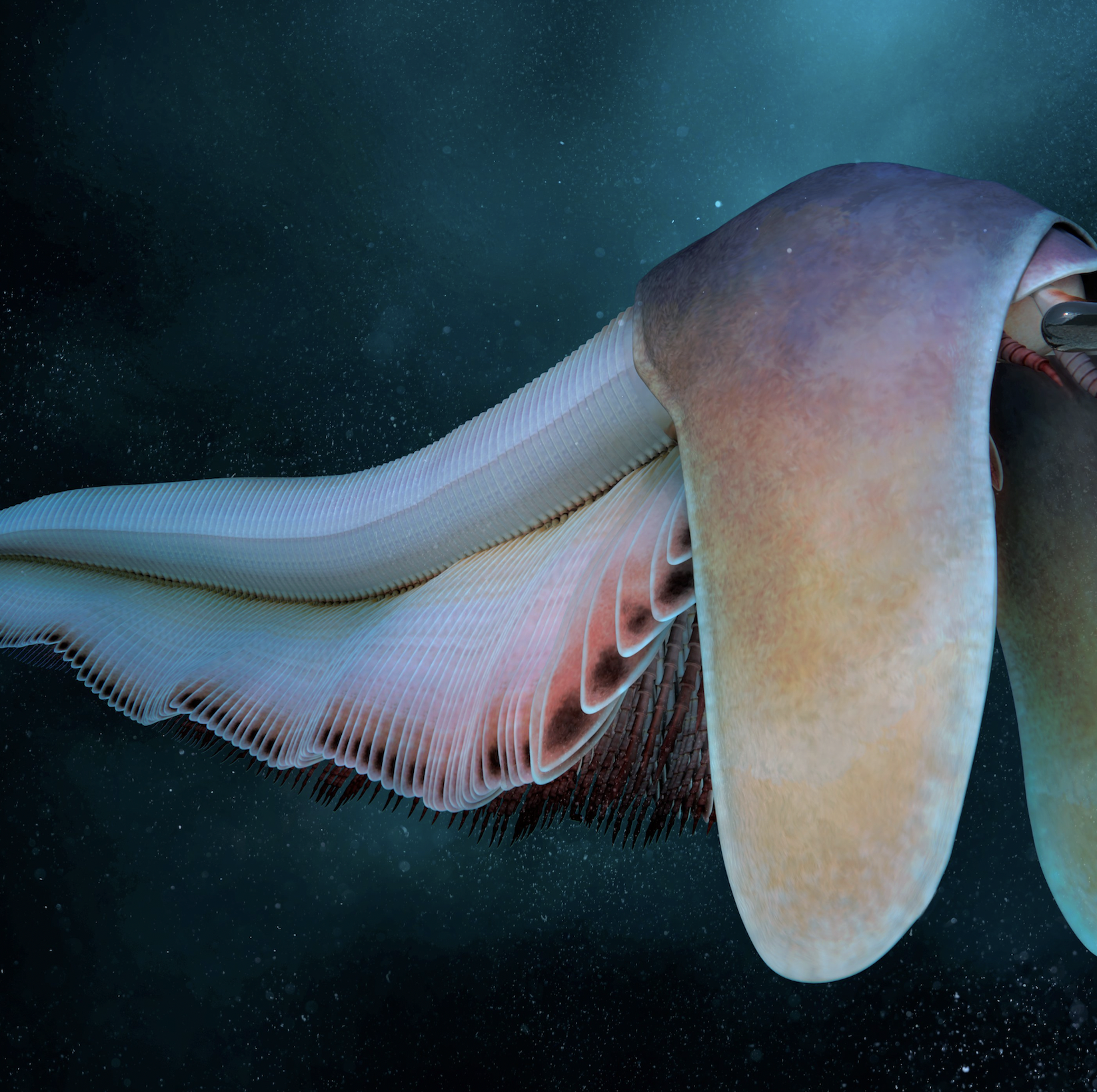 This Gigantic New Burgess Shale Creature Looks Like a Floppy-Eared Hound