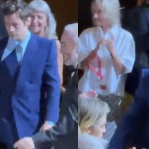 Wait, There's Another Video That Potentially Proves Harry Styles Didn't Spit on Chris Pine